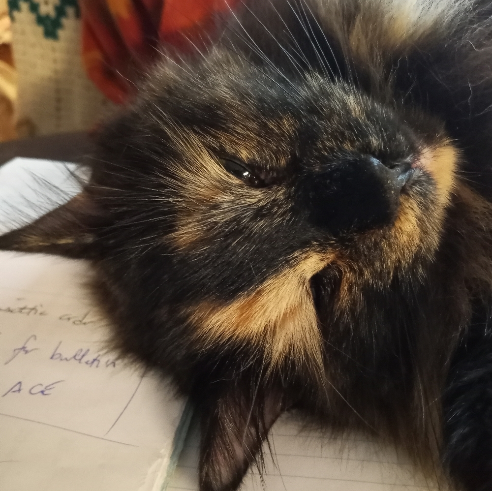 Meet your Posher, Todd